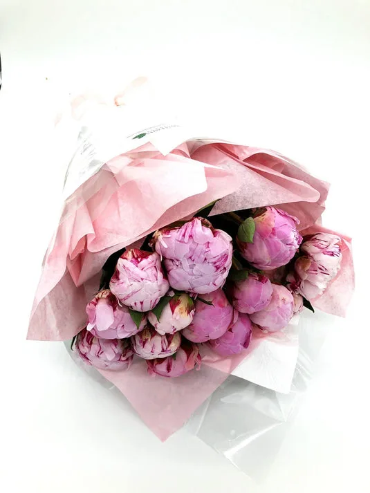 Soft pink peonies in tissue wrap